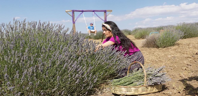 FOTOĞRAF SEVERLER, ARGUVAN İLÇESİNİN DOĞAL GÜZELLİKLERİNİ OBJEKTİFLERİNE YANSITTI