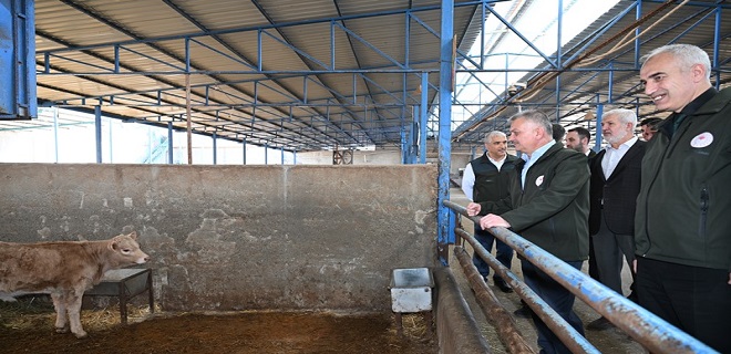 Vali Ersin Yazıcı’dan Malatya da  Faaliyet Gösteren Hayvancılık İşletmelerine Ziyaret