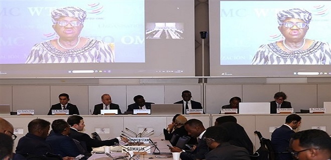 DTÖ / Okonjo-Iweala: Çatışmalara karşı en etkili yol 