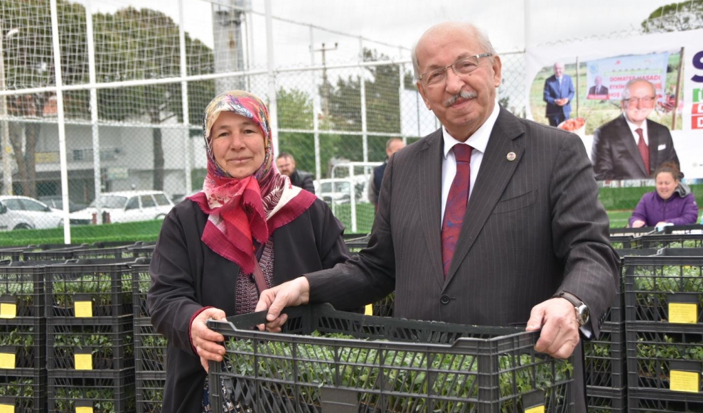 Domates fidesi dağıtıldı.