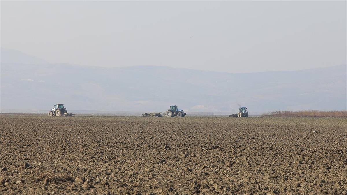 Kuruyan Marmara Gölü'nün 35 bin dekarlık bölümünde tarım başladı