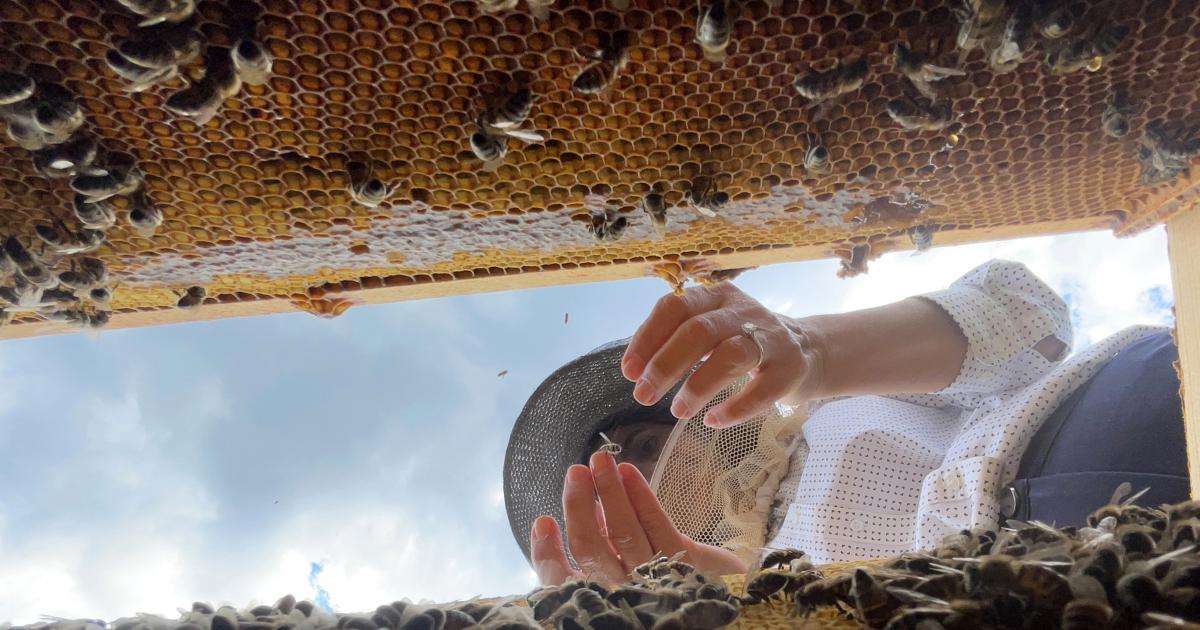 Düzce'deki araştırma merkezinde 