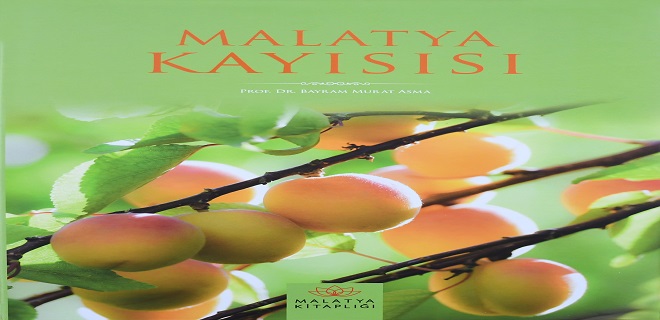 MALATYA KAYISISI KİTABI RİYAD’DA EN İYİLERLE YARIŞACAK