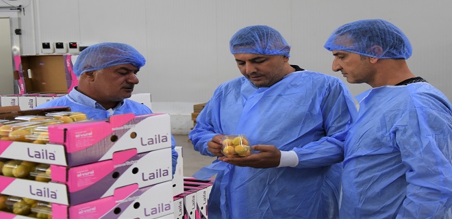 Başkan Sadıkoğlu: 5 bin ton yaş kayısı ihracatı gerçekleştirdik