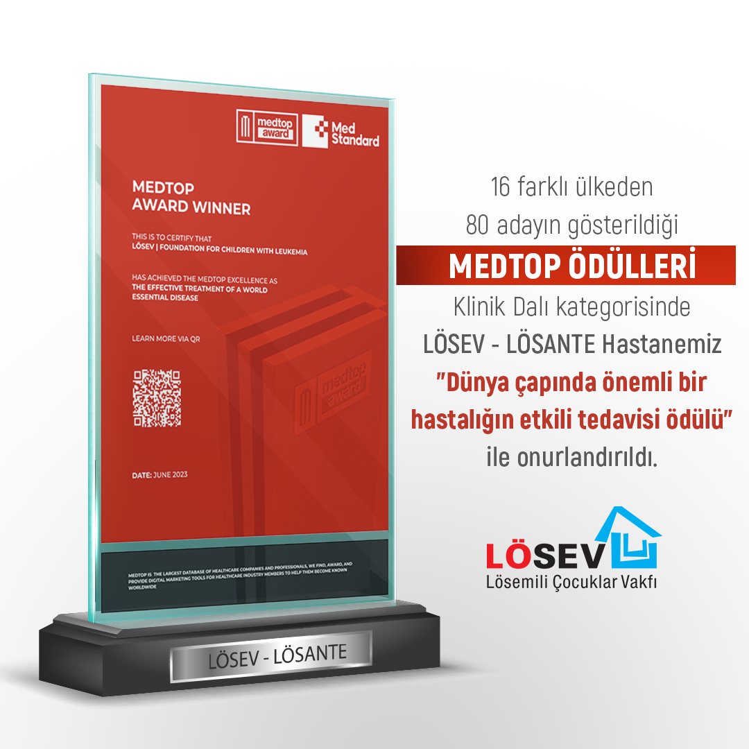 LÖSEV -  LÖSANTE HASTANESİ’NE YURTDIŞINDAN BİR ÖDÜL DAHA