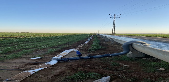 TARIM KAYNAKLARI TASARRUFUNDA ‘LES’ DÖNEMİ!