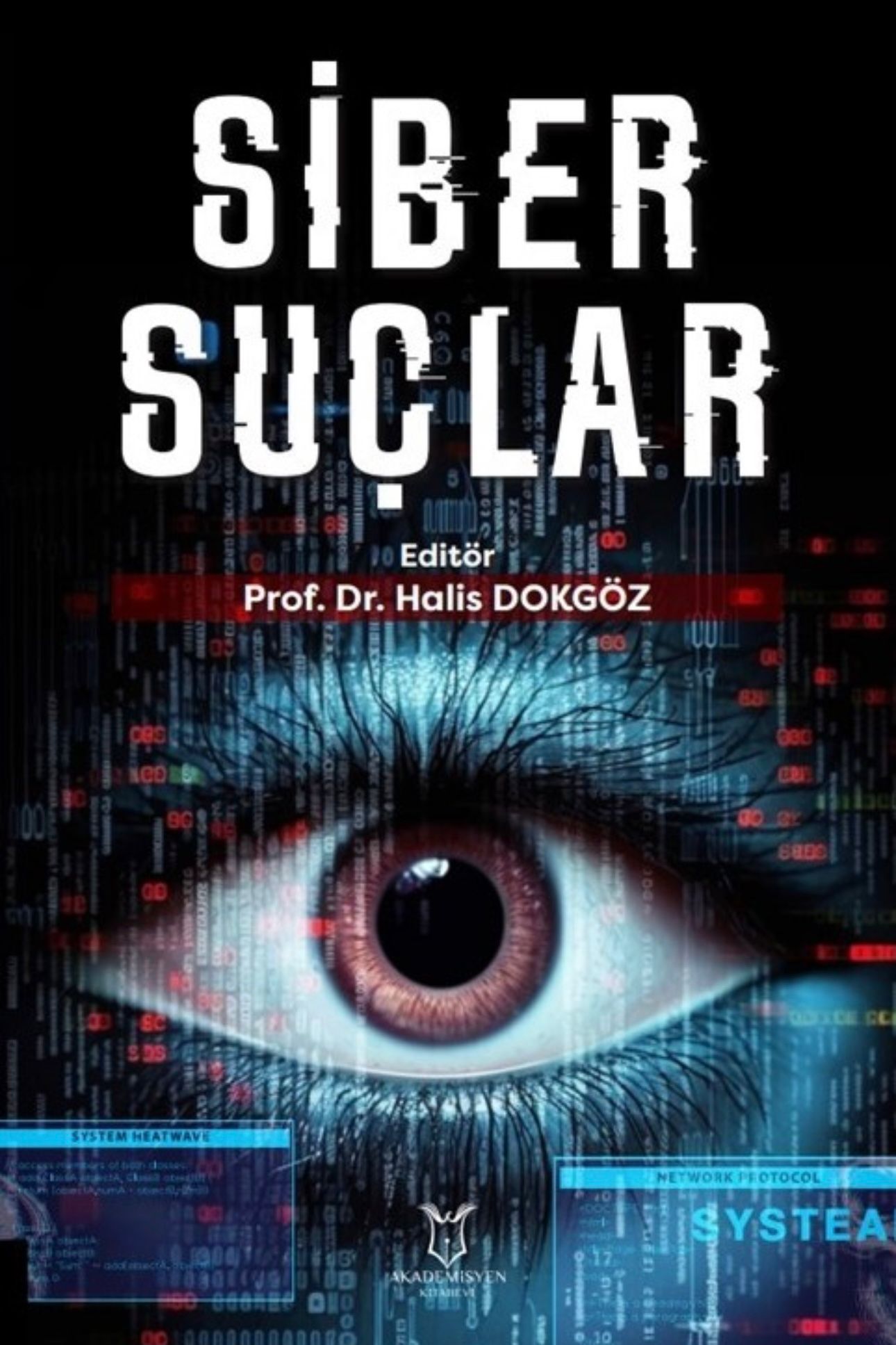 “SİBER SUÇLAR” KİTABI YAYINLANDI