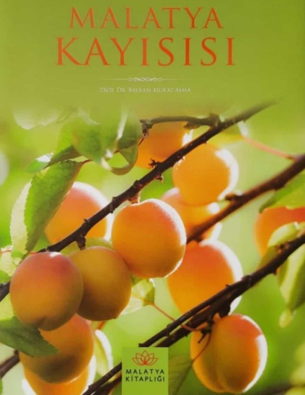 KAYISININ KİTABI DA DÜNYA BİRİNCİSİ OLDU!