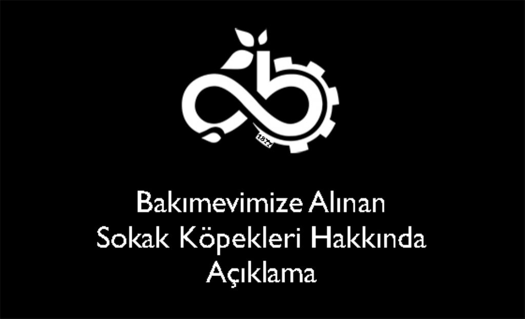 Bakımevimize Alınan Sokak Köpekleri Hakkında Açıklama