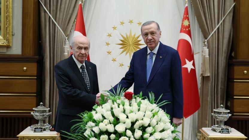 Erdoğan, Bahçeli ile görüşecek