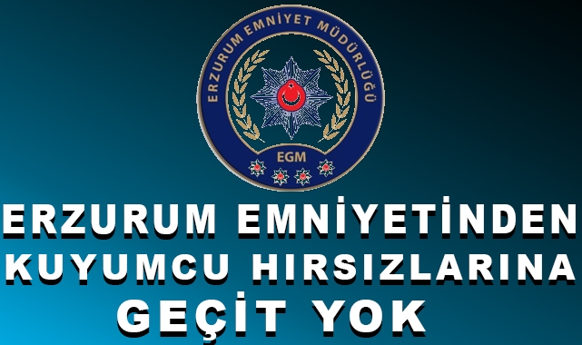 Erzurum Emniyetinden Kuyumcu Hırsızlarına Operasyon