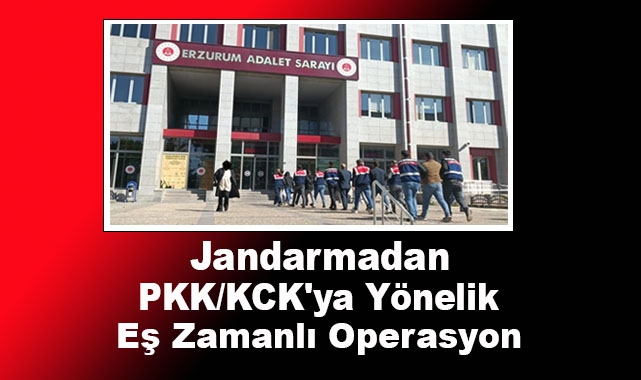 Jandarmadan PKK/KCK'ya Operasyon