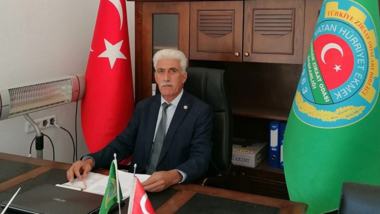 Yağmurların Rekolteye Yansıması Bekleniyor