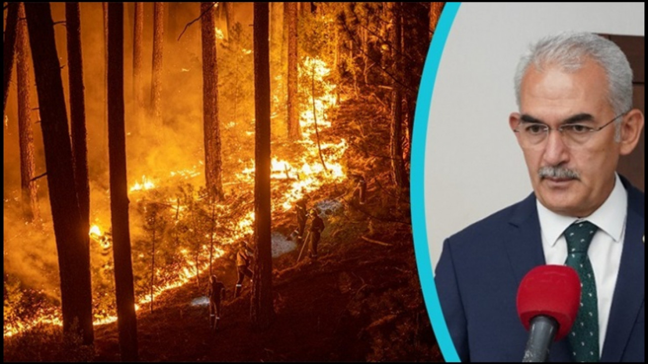 Ormana Yaklaşma! Ateş Kullanma! Susuz bırakma!