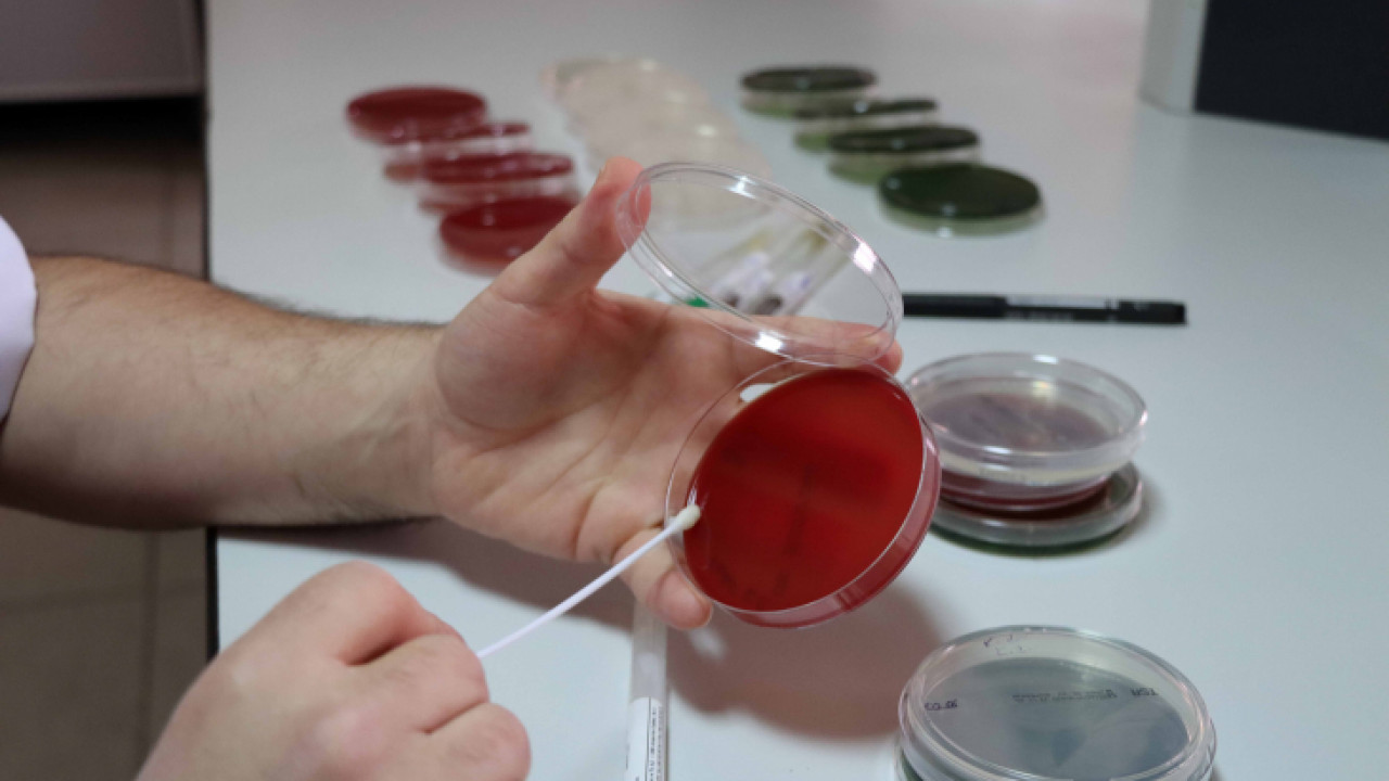 Skretting Türkiye'nin Balık Sağlığı ve Refahı Hizmetleri